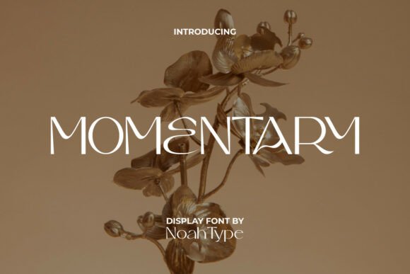 Momentary: A Display Font for Elegant Design